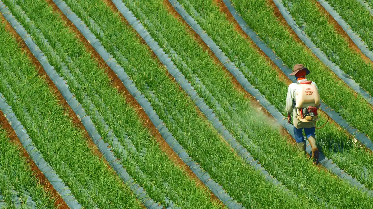 Mineral fertiliser market: how to import raw materials safely and profitably