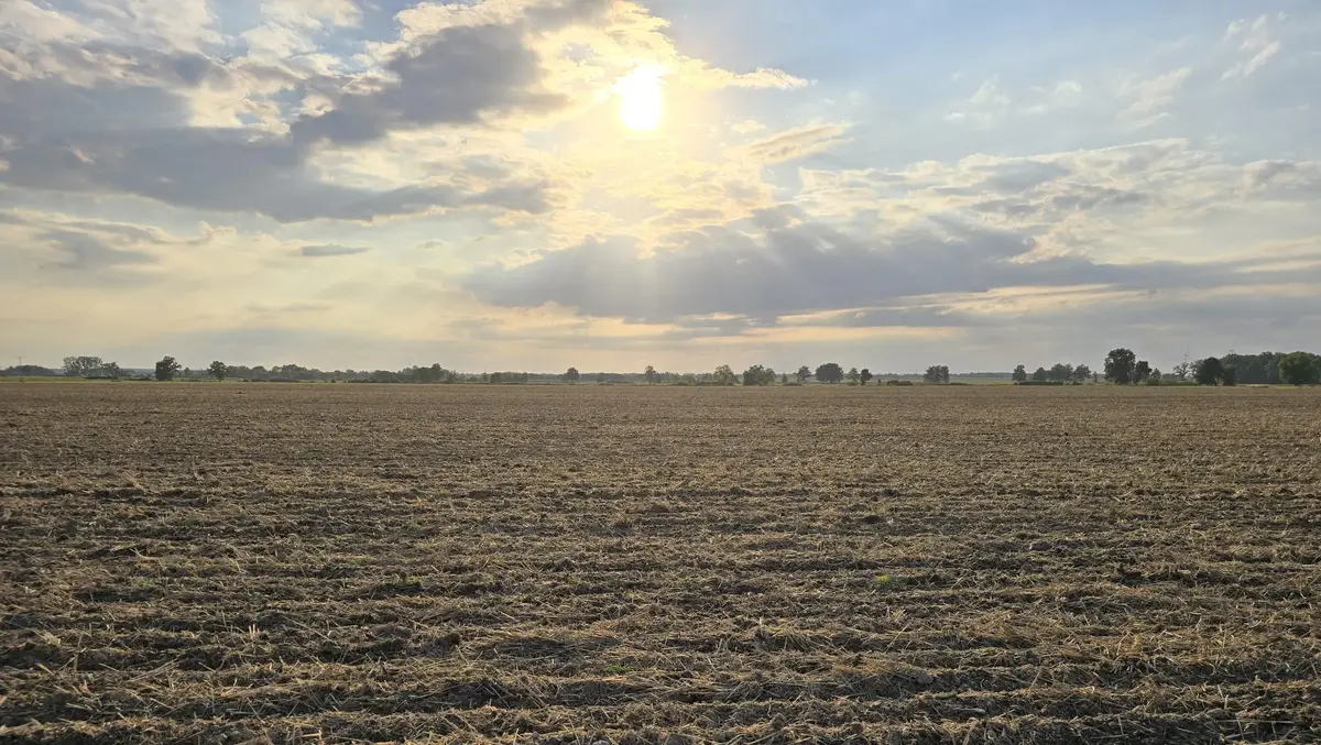 Agricultural land prices in Poland and abroad – how much does a hectare cost in 2026?