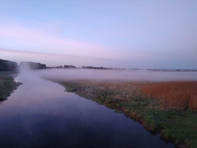 Mist above riverside meadows River and riverside meadows in morning mist