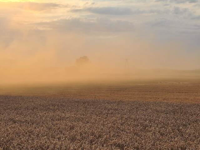 Farmland in the mist Extensive farmland covered by morning mist