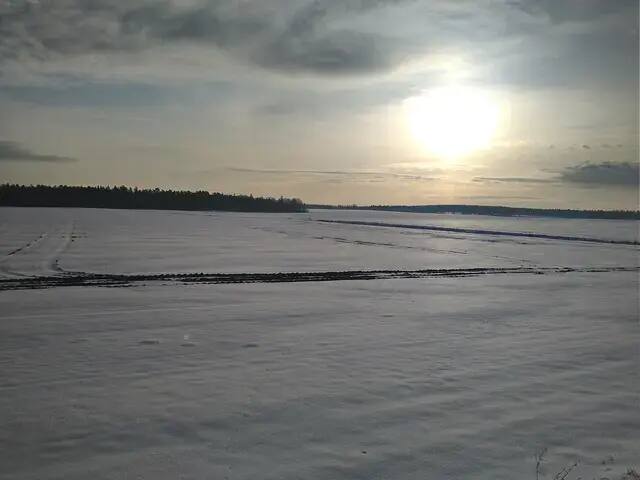 Field in winter Field covered with snow in winter sunlight