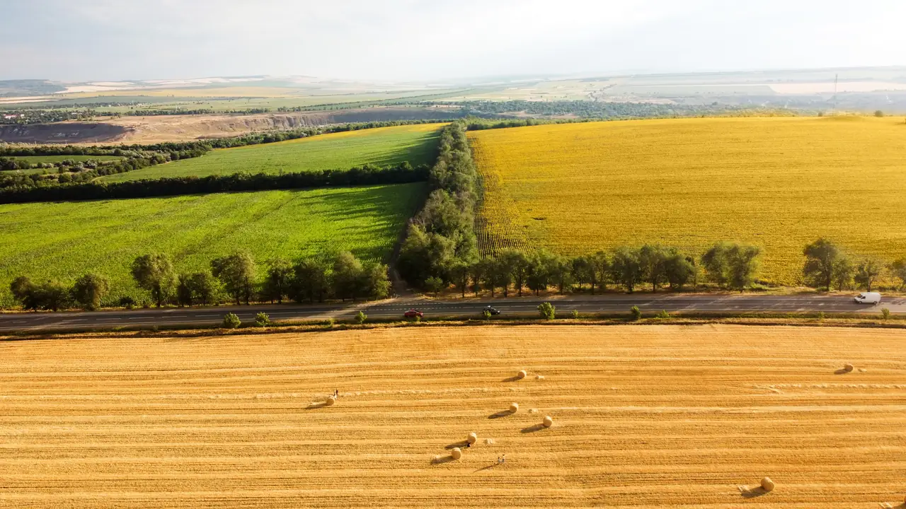 Aerial view of cultivated fields operated by the Belitsa-Agro agricultural enterprise in Belarus.