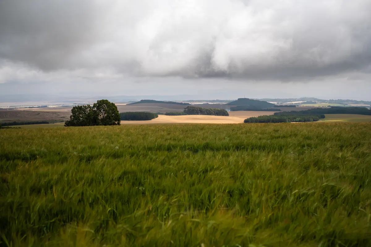 Expansive green agricultural fields beneath a cloudy sky.